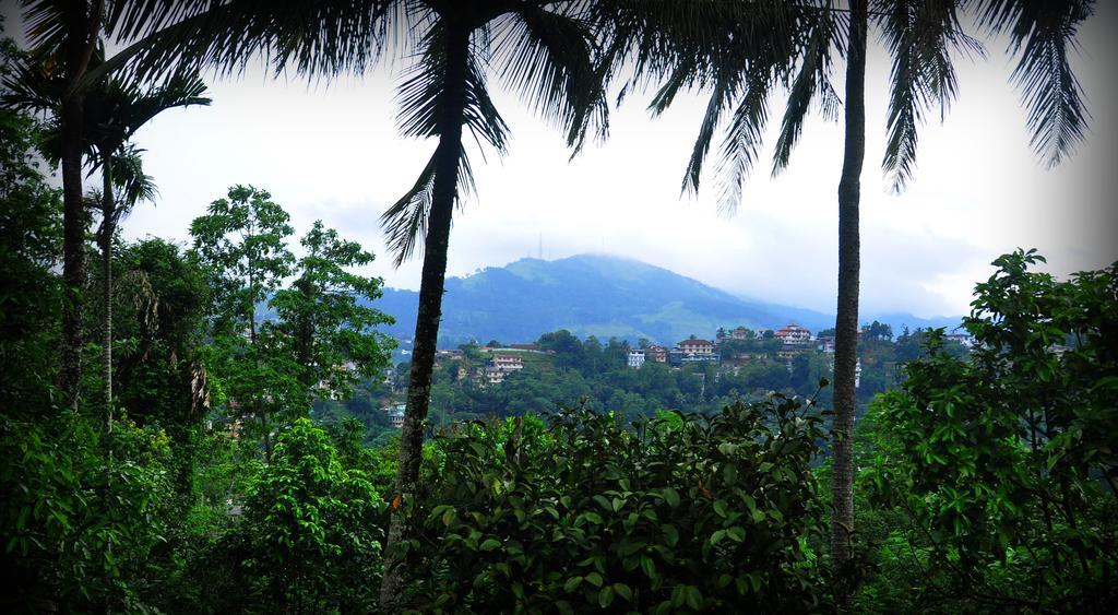 Ferienwohnung Knight'S Heaven Kandy Exterior foto